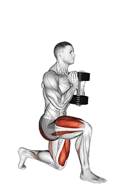 Dumbbell Goblet Split Squat exercise demonstration for Quadriceps, and Thighs, Dumbbell