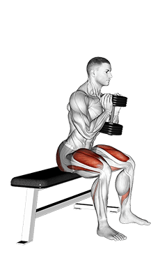 Dumbbell Goblet Box Squat exercise demonstration for Quadriceps, and Thighs, Dumbbell