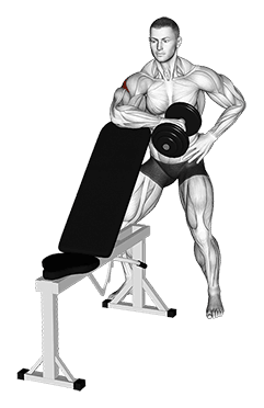 Dumbbell Bench Supported External Rotation exercise demonstration