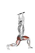 Forward Pulse Lunge with Hands Overhead exercise demonstration for Quadriceps, and Thighs, Body weight