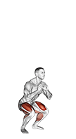 Double Jump Squat exercise demonstration for Plyometrics, Body weight