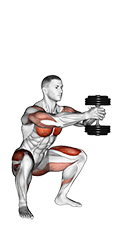 Dumbbell Press Squat exercise demonstration for Quadriceps, and Thighs, Dumbbell