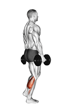 Dumbbell Standing Single Leg Calf Raise exercise demonstration for Calves, Dumbbell