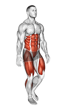 Single Leg Stand exercise demonstration for Plyometrics, Body weight