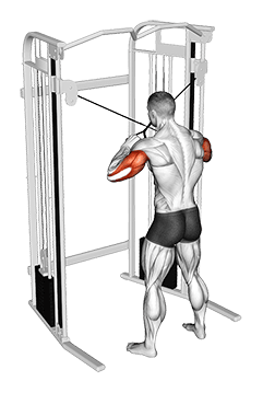 Cable Standing High Cross Triceps Extension exercise demonstration