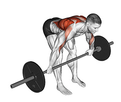 Barbell Bent Over Wide Grip Row exercise demonstration