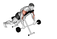 Barbell Incline Lying Rear Delt Raise exercise demonstration for Shoulders, Barbell