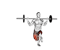 Barbell Curtsey Lunge exercise demonstration for Quadriceps, and Thighs, Barbell