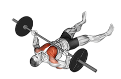 Barbell Floor Chest Press exercise demonstration