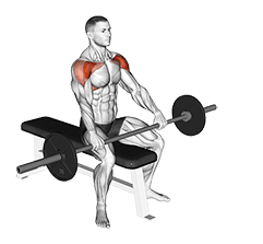 Barbell Seated Front Raise exercise demonstration for Shoulders, Barbell