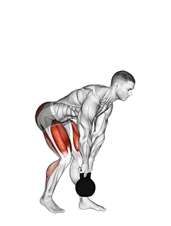 Kettlebell Kickstand One Leg Deadlift exercise demonstration for Quadriceps, and Thighs, Kettlebell