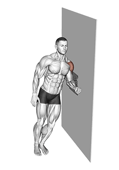 Lateral Raise with Towel exercise demonstration