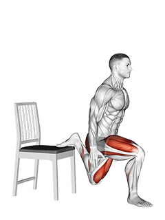 Bulgarian Split Squat with Chair exercise demonstration
