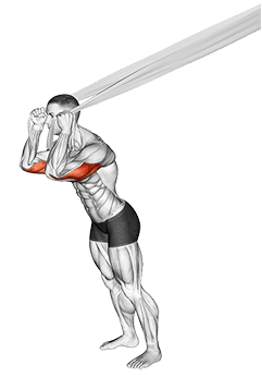 Overhead Triceps Extension with Bed Sheet exercise demonstration for Triceps, and Upper Arms, Body weight