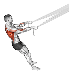 Rear Delt Row with Bed Sheet exercise demonstration for Back, Body weight