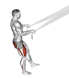 Assisted Pistol Squat with Bed Sheet exercise demonstration