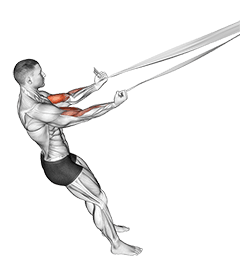 Biceps Curl with Bed Sheet exercise demonstration for Biceps, and Upper Arms, Body weight