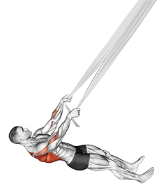 Inverted Row with Bed Sheet exercise demonstration for Back, Body weight