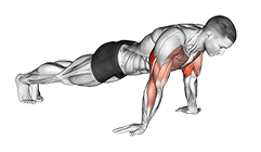 Reverse Push-up exercise demonstration for Triceps, and Upper Arms, Body weight