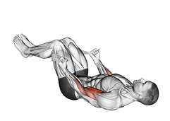 Lying Double Legs Biceps Curl with Towel exercise demonstration for Biceps, and Upper Arms, Body weight