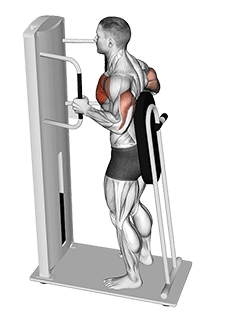 Lever Standing Chest Press exercise demonstration for Chest, Leverage machine
