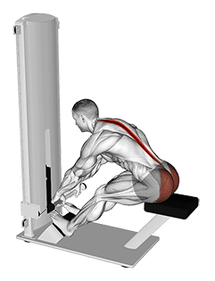 Lever Seated Good Morning exercise demonstration for Hips, Leverage machine