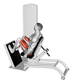Lever Seated Horizontal Leg Press exercise demonstration for Quadriceps, and Thighs, Leverage machine
