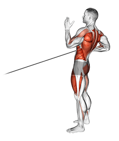 Band Squat with Single Arm Row exercise demonstration
