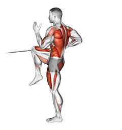 Band High Knee Lunge with Single Arm Row exercise demonstration
