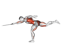 Band Single Stiff Leg Deadlift with Single Arm Row exercise demonstration