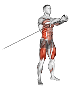 Band Squat with Horizontal Pallof Hold exercise demonstration