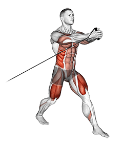 Band Split Squat with Horizontal Pallof Hold exercise demonstration