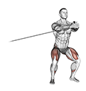 Band Side Step with Horizontal Pallof Hold exercise demonstration for Hips, Band