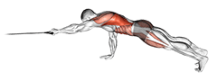 Band Front Plank with Single Arm Pulldown exercise demonstration for Back, and Waist, Band