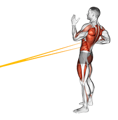 Resistance Band Squat with Single Arm Row exercise demonstration