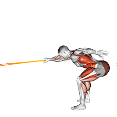 Resistance Band Deadlift with Single Arm Row exercise demonstration for Back, Resistance Band