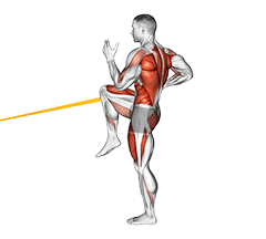 Resistance Band High Knee Lunge with Single Arm Row exercise demonstration