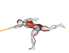 Resistance Band Single Stiff Leg Deadlift with Single Arm Row exercise demonstration