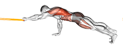 Resistance Band Front Plank with Single Arm Pulldown exercise demonstration for Back, Resistance Band