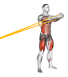 Resistance Band Squat with Horizontal Pallof Hold exercise demonstration for Waist, Resistance Band