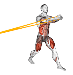 Resistance Band Split Squat with Horizontal Pallof Hold exercise demonstration for Waist, Resistance Band