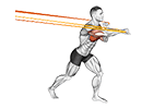 Resistance Band Punch exercise demonstration