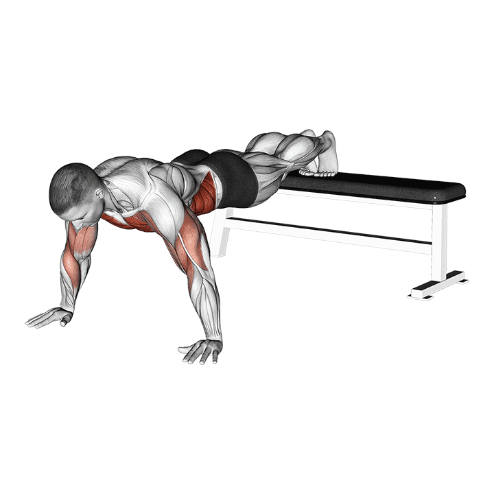 Decline Shoulder Tap exercise demonstration