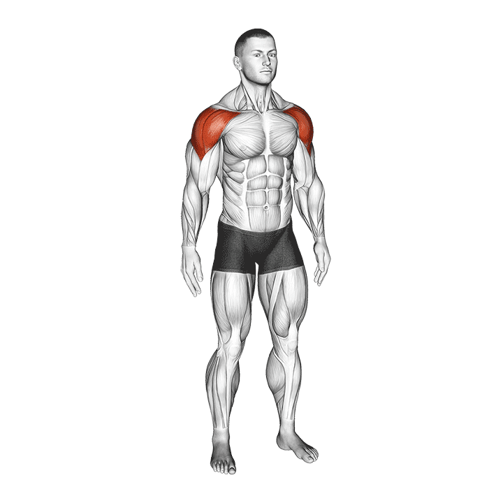 Mid Air Lateral Raises With Switching Palms exercise demonstration