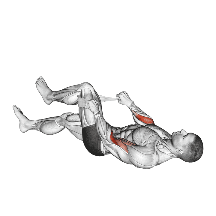 Lying Single Legs Reverse Biceps Curl with Towel exercise demonstration