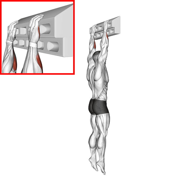Handboard Slope Hang exercise demonstration for Forearms, Body weight