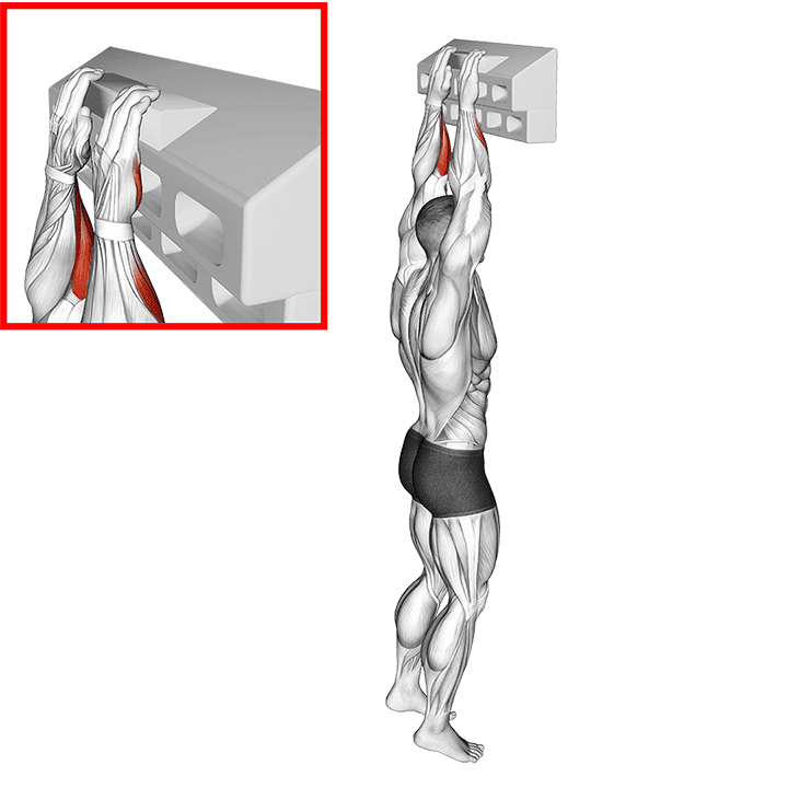 Handboard Open Hand Grip exercise demonstration for Forearms, Body weight