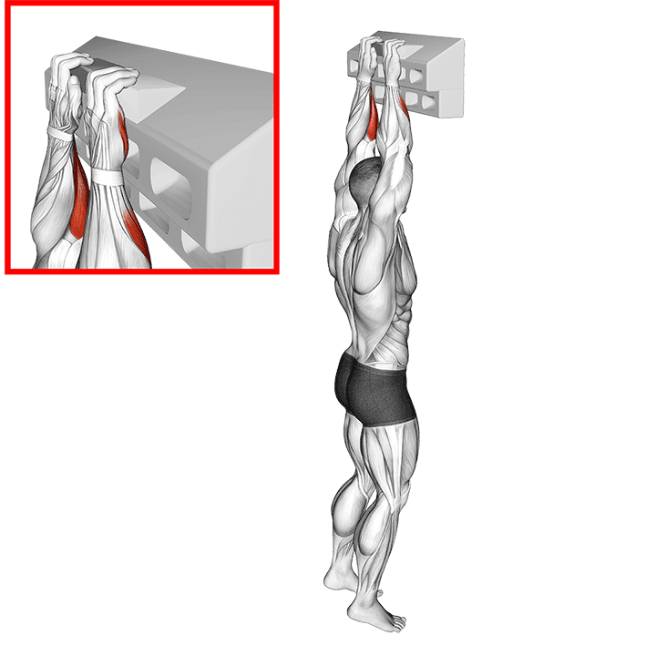 Handboard Half Crimp exercise demonstration for Forearms, Body weight