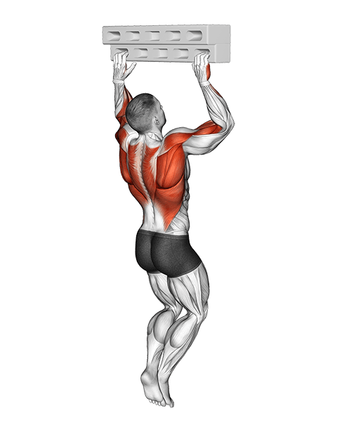 Handboard Hang with 90 Degree Elbow exercise demonstration for Forearms, Body weight