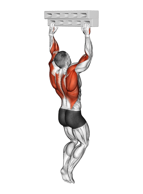 Handboard Hang with 135 Degree Elbow exercise demonstration for Forearms, Body weight